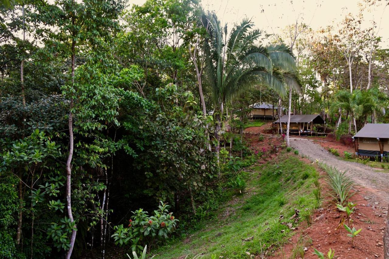 El Pulpo Safari Lodge Ojochal Buitenkant foto