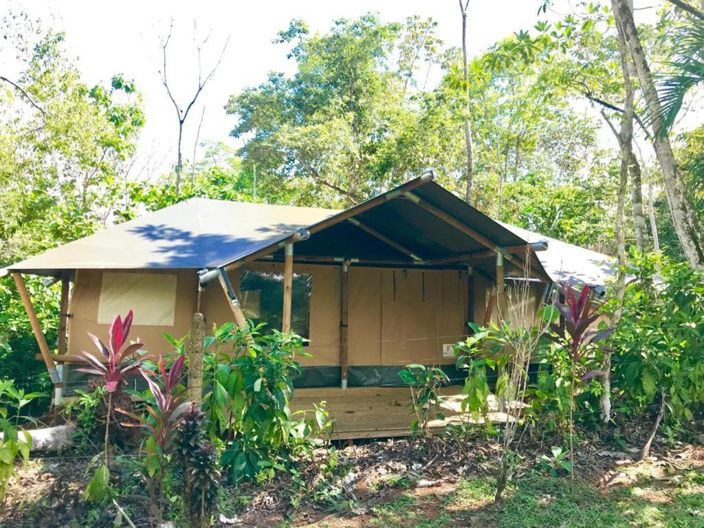 El Pulpo Safari Lodge Ojochal Buitenkant foto