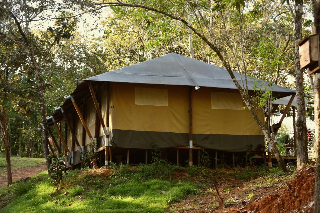 El Pulpo Safari Lodge Ojochal Buitenkant foto